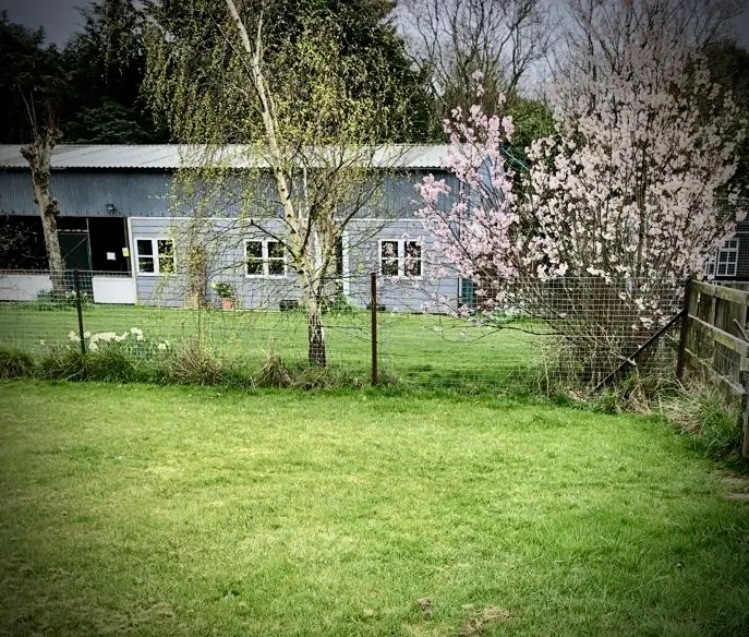 The Barn Cattery building surrounded by green grounds