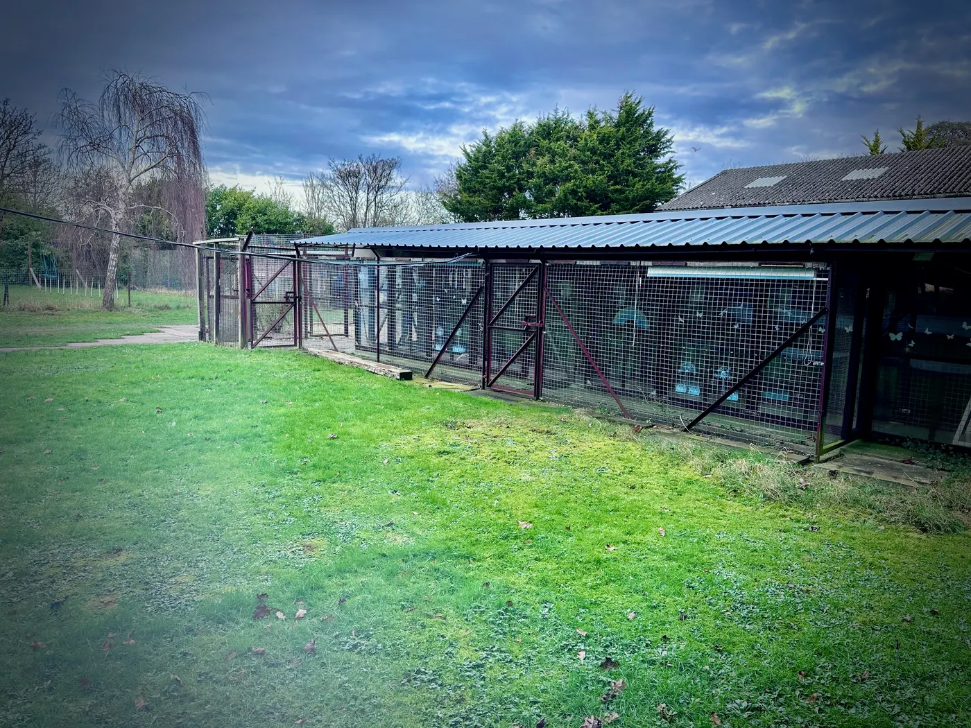 Conservatory Cattery rooms facing the grassy paddock