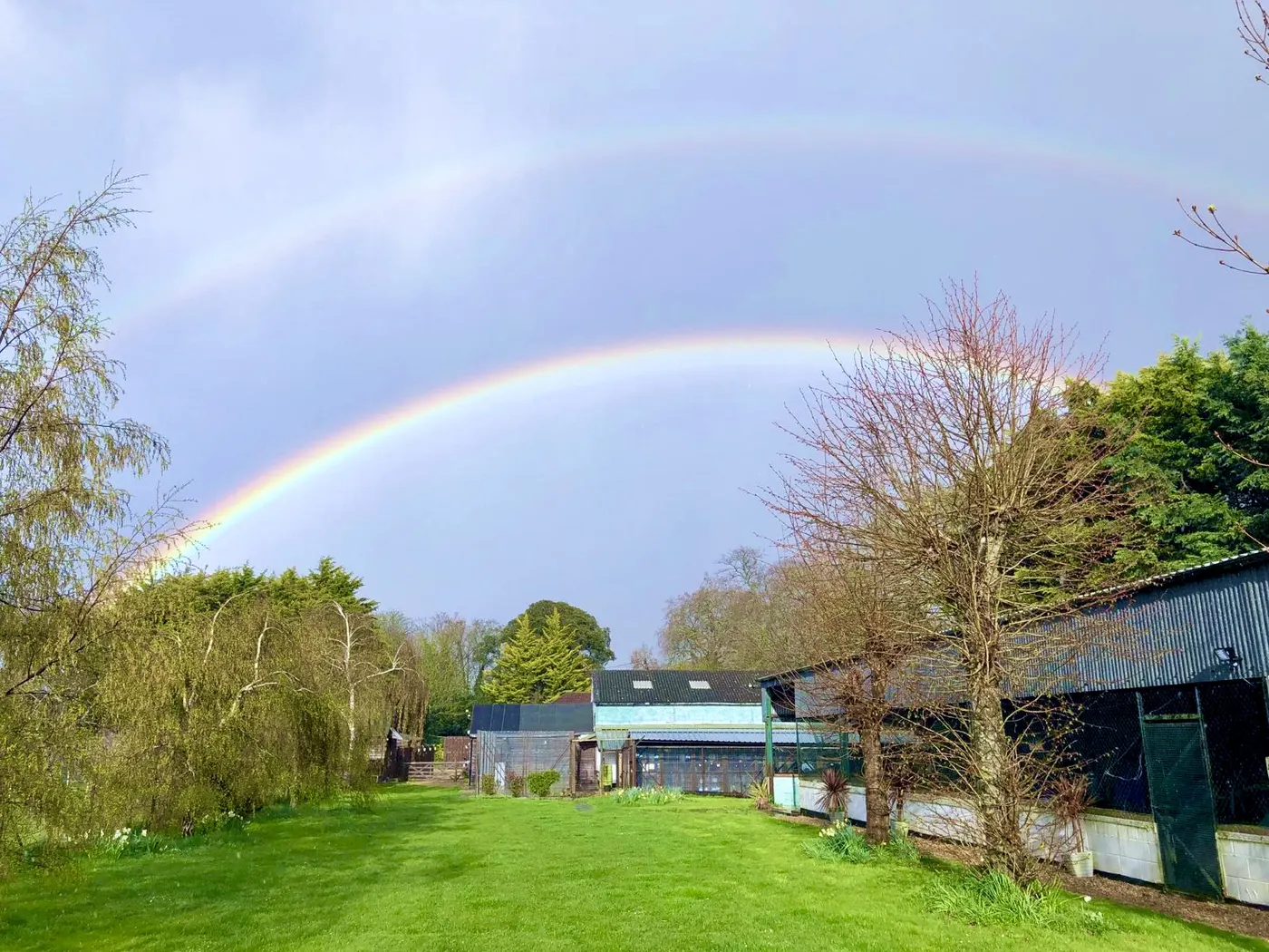 Rainbow stretching over the Woodside Cattery countryside grounds